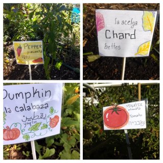 20190913_112243-COLLAGE