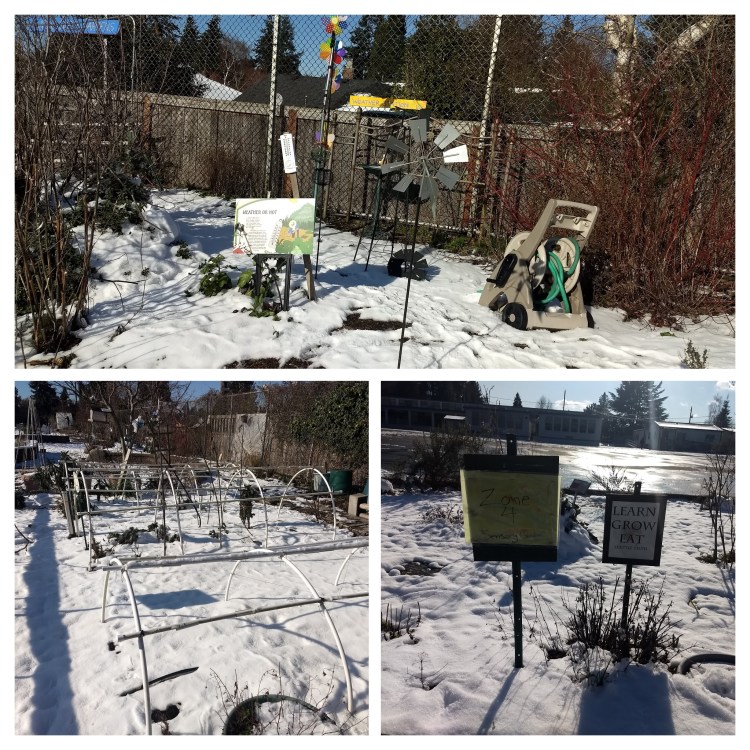 IMG_20190206_130105791-COLLAGE