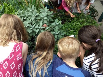 IMG_20190913_144458110