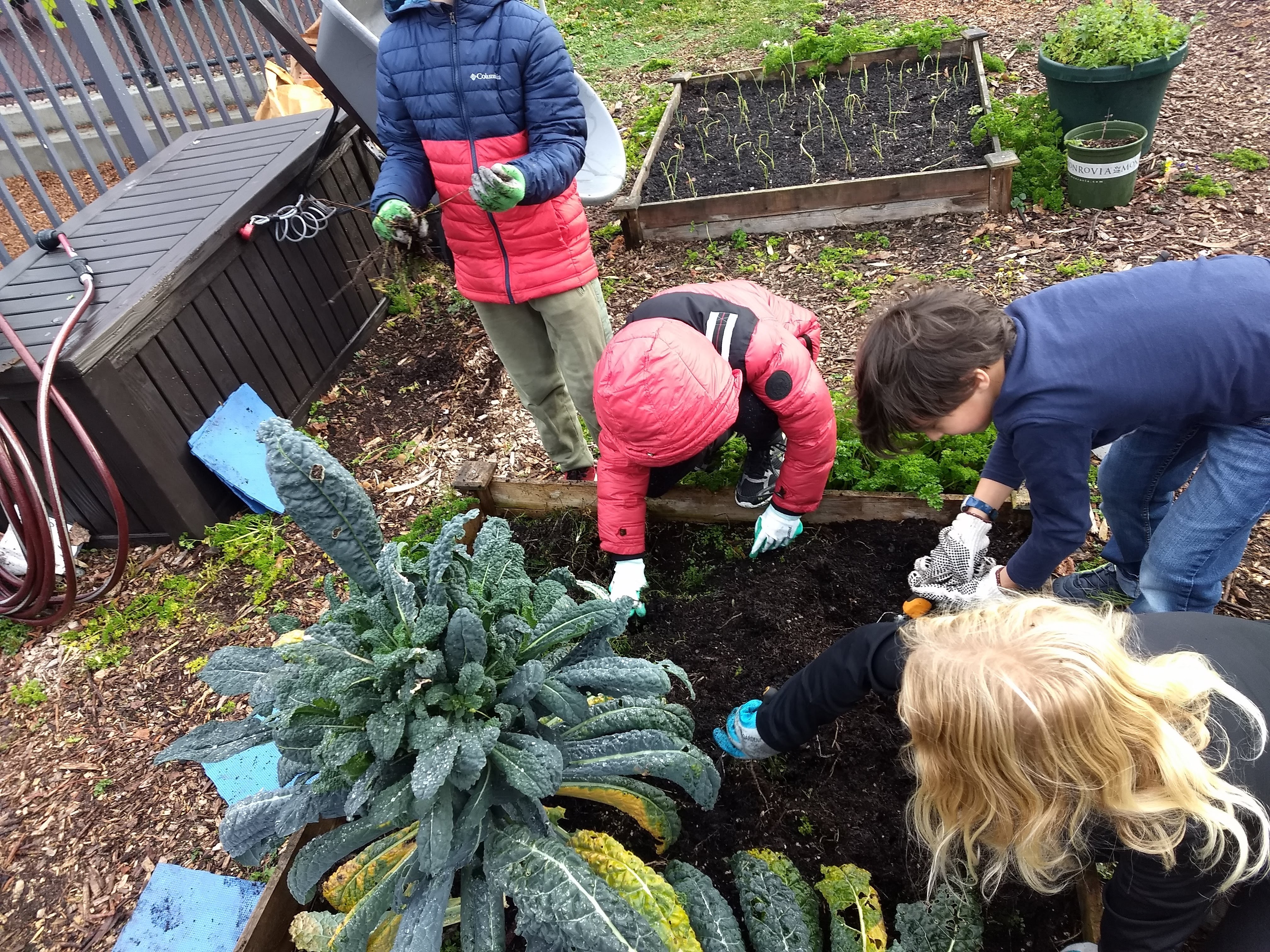 img_20191115_091313645